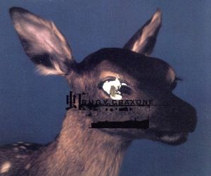 虹 [CD] BUGY CRAXONE 鈴木由紀子; BUGY CRAXONE