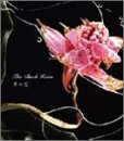 夢の花(初回) [CD] THE BACK HORN、 松田晋二; THE BACK HORN