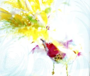 日付変更線 [CD] 広瀬香美