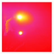 産声チェインソー [CD] THE BACK HORN