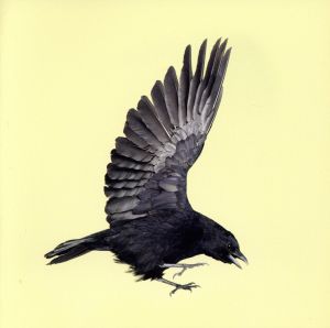 サイレント・クライ 期間限定スペシャル・エディション [CD] フィーダー