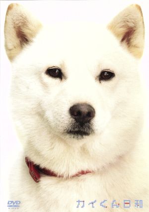 カイくん日和 [DVD] [DVD]