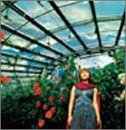 jam [CD] 米倉千尋 米倉千尋 鵜島仁文; 佐藤直之