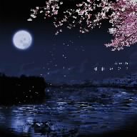 薄紅の欠片(初回限定盤)(DVD付) [CD] Angelo