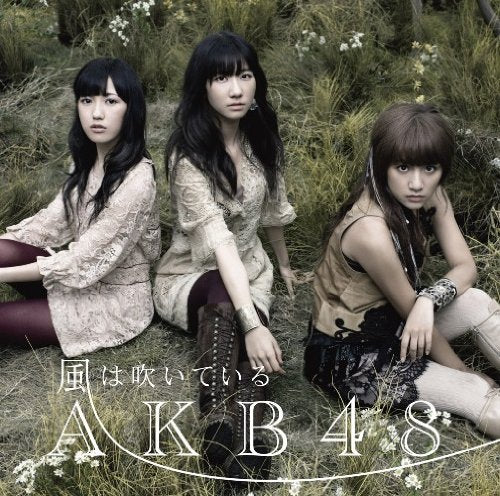 【多売特典生写真無し】風は吹いている (Ｔｙｐｅ-B)(数量限定生産盤) [CD] AKB48