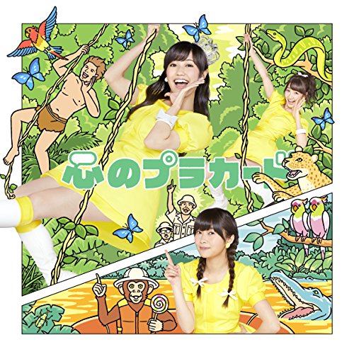 心のプラカード Type C通常盤(多売特典なし) [CD] AKB48