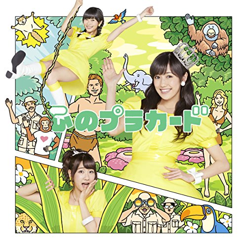 心のプラカードType C初回限定盤（多売特典なし） [CD] AKB48