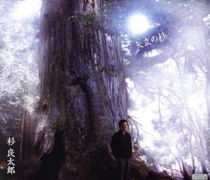 矢立の杉 [CD] 杉良太郎