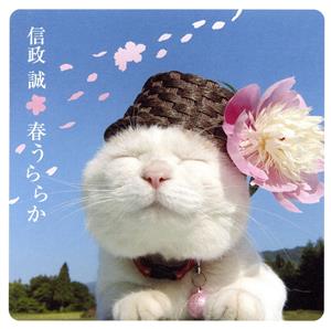春うららか [CD] 信政誠