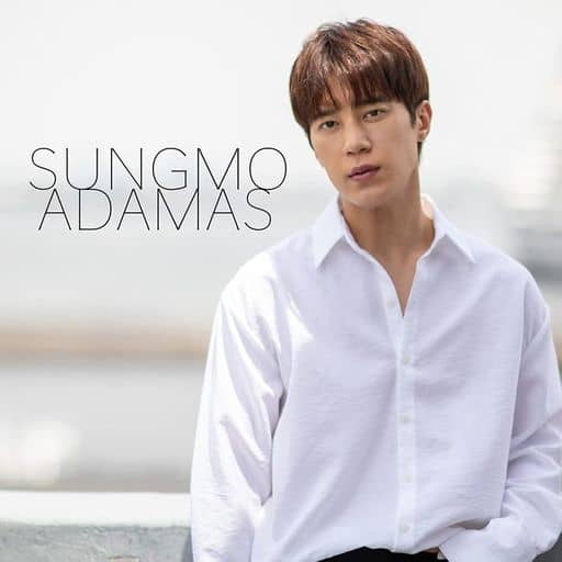 ADAMAS（Type-A） [CD] ソンモ