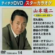 テイチクDVDカラオケ スターカラオケ [DVD] [2005]
