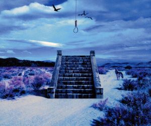 13 (初回盤) [CD] SADS