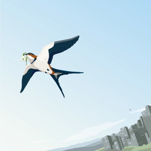 スノウドロップ(初回限定盤)(DVD付) [CD] 森山直太朗