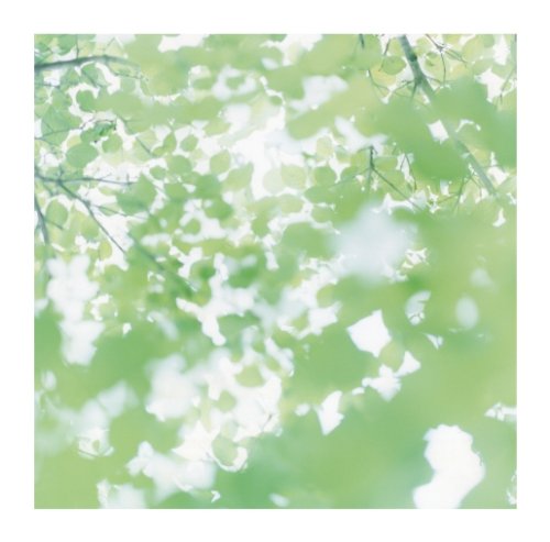 EVERY LOVE SONG [CD] Peridots