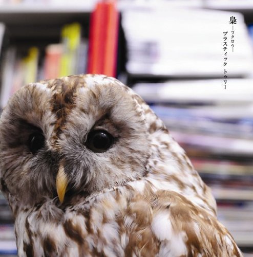 梟(初回限定盤A)(DVD付) [CD] Plastic Tree