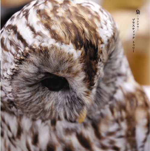梟(初回限定盤B)(DVD付) [CD] Plastic Tree
