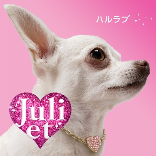 ハルラブ(初回限定盤)(DVD付) [CD] Juliet