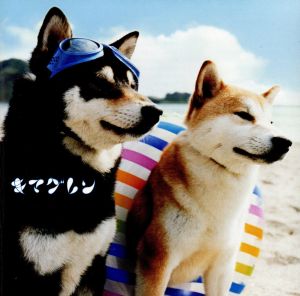 ALIVE [CD] キマグレン KUREI シライシ紗トリ; GIRA MUNDO