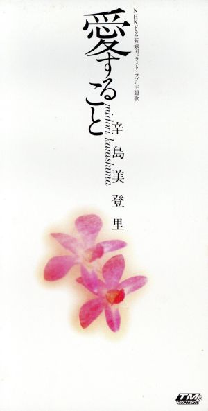 愛すること [CD] 辛島美登里 辛島美登里 大村雅朗; カラオケ