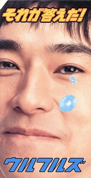 それが答えだ! [CD] ウルフルズ トータス松本 吉田建 ウルフルズ 太田要; カラオケ