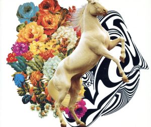 TIGHTROPE [CD] ZEPPET STORE SEIZI KIMURA; EIKI YANAGITA