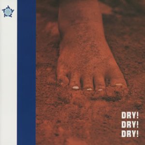 DRY!DRY!DRY!(CCCD) [CD] PE’Z PE’Z; PE’Z