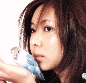 桜咲くまで (CCCD) [CD] 茉樹代 茉樹代 茉樹代; 塚崎陽平