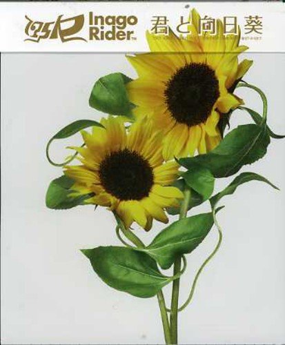君と向日葵 [CD] 175R shogo.k 175R; 亀田誠治