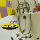 スパイダース [CD] スペース