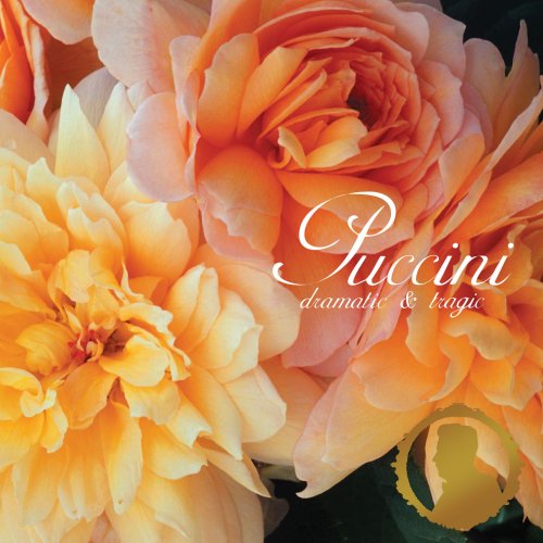 プッチーニな一日 [CD] オムニバス(クラシック) カラス(マリア) コレルリ(フランコ) スウェンソン(ルース・アン) カバリエ(モンセラート) フレーニ(ミレッラ) カレーラス(ホセ) ベルリン弦楽ゾリステン メイ(ヴァネッサ) ロンドン交響楽団; フィルハーモニア管弦楽団