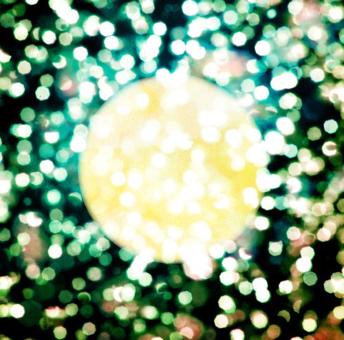 ムーンライト ――――。 [CD] Plastic Tree