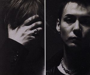 PULSE [CD] FAKE FAKE; 菊地大輔