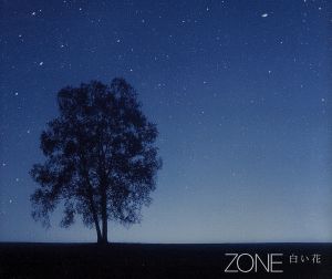 白い花(初回) [CD] ZONE 町田紀彦 千空 大坪直樹 高橋KATSU; ZONE