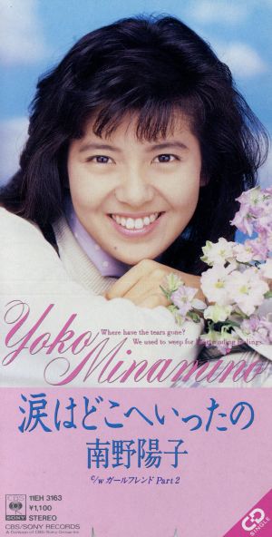 【８ｃｍ】涙はどこへいったの [CD] 南野陽子