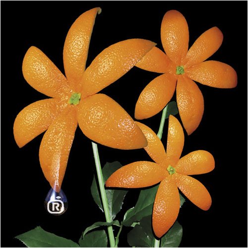 花 [CD] ORANGE RANGE
