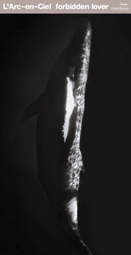 forbidden lover [CD] hyde Hajime Okano; yukihiro