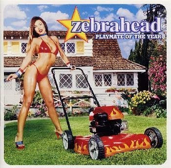プレイメイト・オブ・ザ・イヤー [CD] ゼブラヘッド エド・ウダス グレグ・バーグドルフ アリ・タバタバイー ジャスティン・マウリエロ; ベン・オスマンドソン