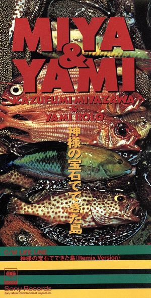 神様の宝石でできた島 [CD] MIYA & YAMI 宮沢和史 YAMI BOLO; 朝本浩文