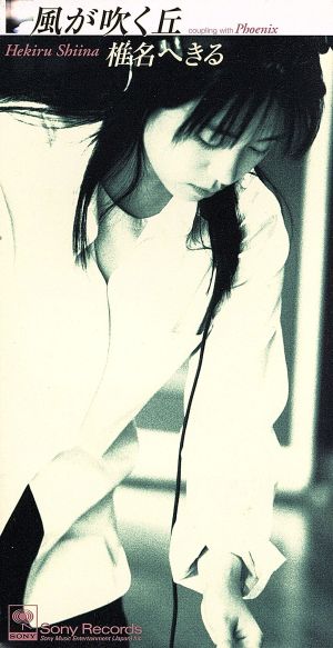 風が吹く丘 [CD] 椎名へきる 嘉藤英幸 井上睦都実 大坪稔明; カラオケ
