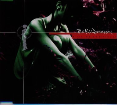 Girls，be ambitious! [CD] TRUE KiSS DESTiNATiON; 小室哲哉