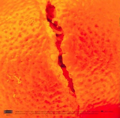 ROCKWORK ORANGE [CD] SPARKS GO GO 八熊慎一 おりもみゆ 橘哲也; SPARKS GO GO