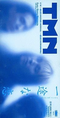 一途な恋 [CD] TMN TMN; 小室哲哉
