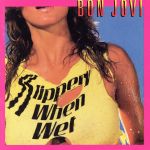 ＳＬＩＰＰＥＲＹ ＷＨＥＮ ＷＥＴ [CD]