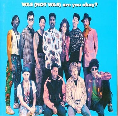 アー・ユー・OK [CD] WAS(NOT WAS)