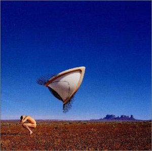 ベリー・ザ・ハチェット [CD] クランベリーズ