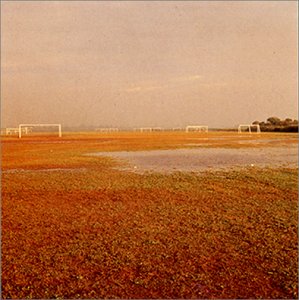 犬と猫 [CD] 中村一義; 中村一義