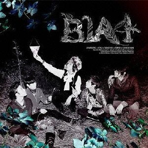 IN THE WIND [日本仕様盤] [CD] B1A4