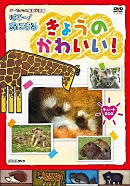 NHKDVD ダーウィンの動物大図鑑 はろ~!あにまる きょうのかわいい! キュートBOX [DVD]
