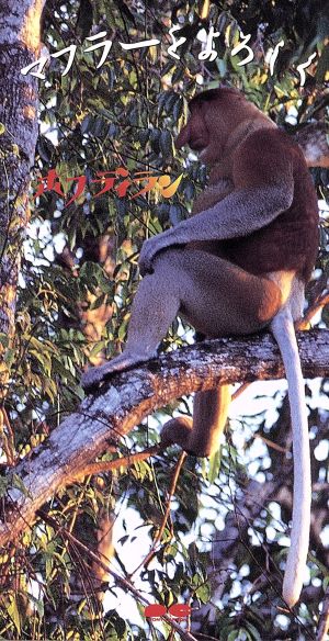 マフラーをよろしく [CD] ホフディラン 渡辺慎 小宮山雄飛; カラオケ