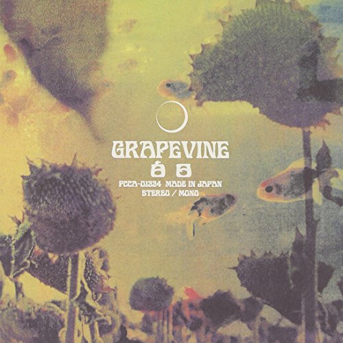 白日 [CD] GRAPEVINE 田中和将; GRAPEVINE